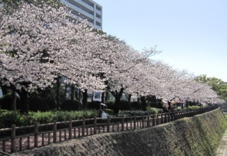 �����؁@���̂P