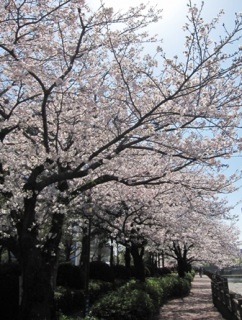 �����؁@���̂Q