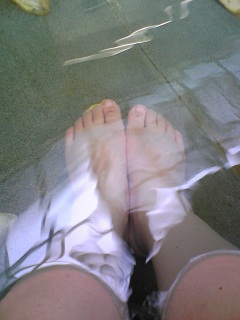 �A���ė��܂���